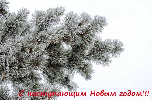Как Работают Банки Новогодние Праздники