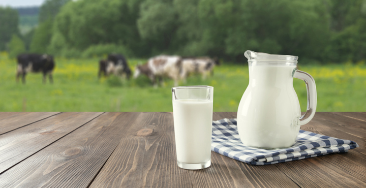 Россельхозбанк - Молочные реки: может ли стартап на молоке стать бизнесом мечты