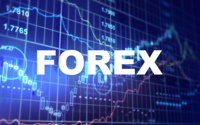 Как стать успешным трейдером на валютной бирже Forex?