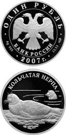 Кольчатая нерпа