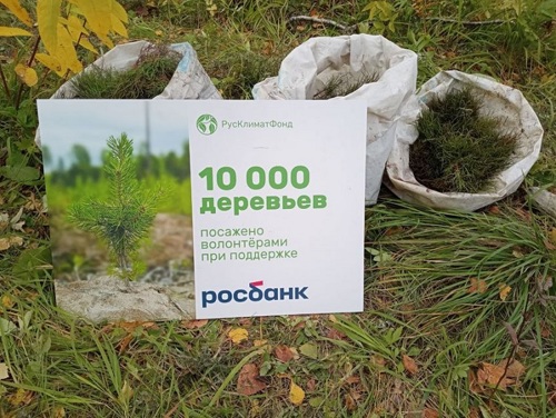 Росбанк принял участие в акции по восстановлению лесов в Свердловской области
