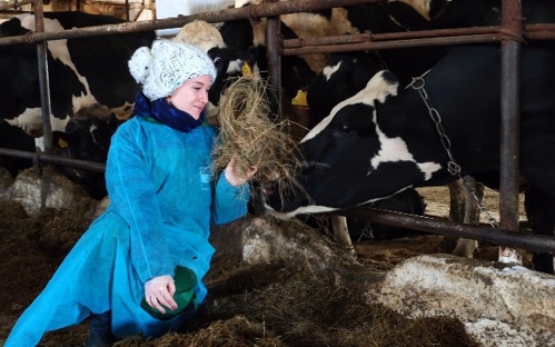 Россельхозбанк - уральских фермеров обучат ветеринарной гинекологии и акушерству в рамках «Школы фермера»
