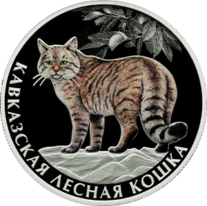ЦБ выпустил новые цветные монеты
