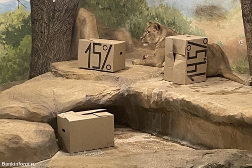 Львица Мира предсказала снижение ключевой ставки до 14%