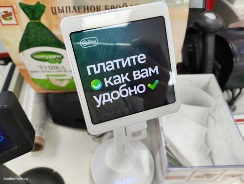 Более 6000 терминалов для оплаты улыбкой установил Сбер в Свердловской области
